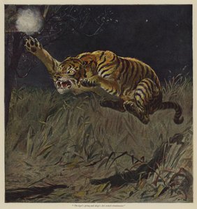 Ilustracja do oferty z wolnej woli — BM Corker